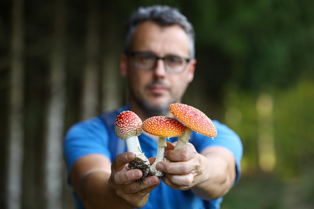 FOTO Danijel gljive proučava 20 godina otkrio nam je koje su